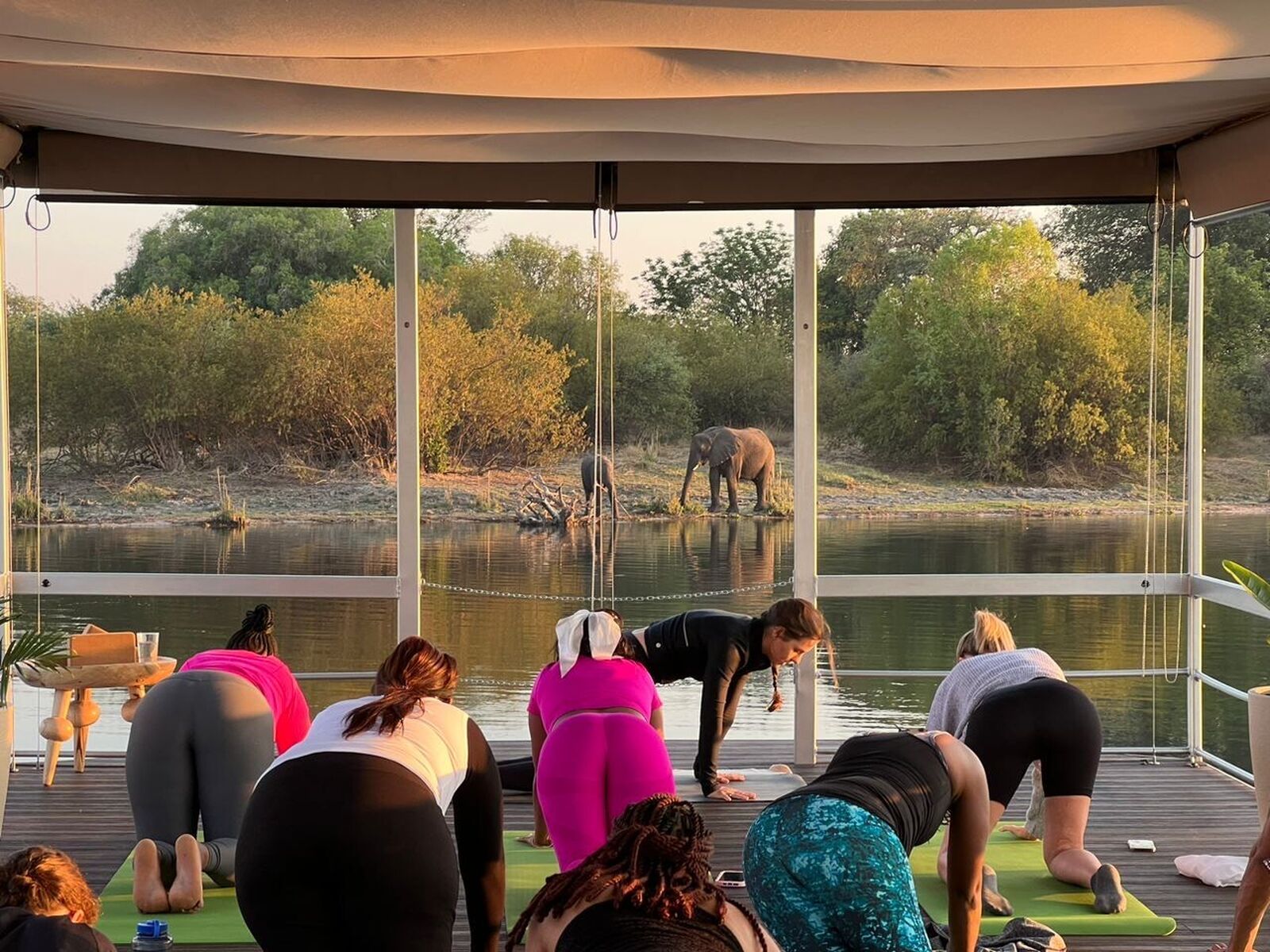 Sunrise yoga