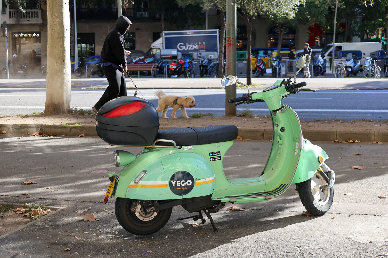 54953954253 7ce4caf73e k