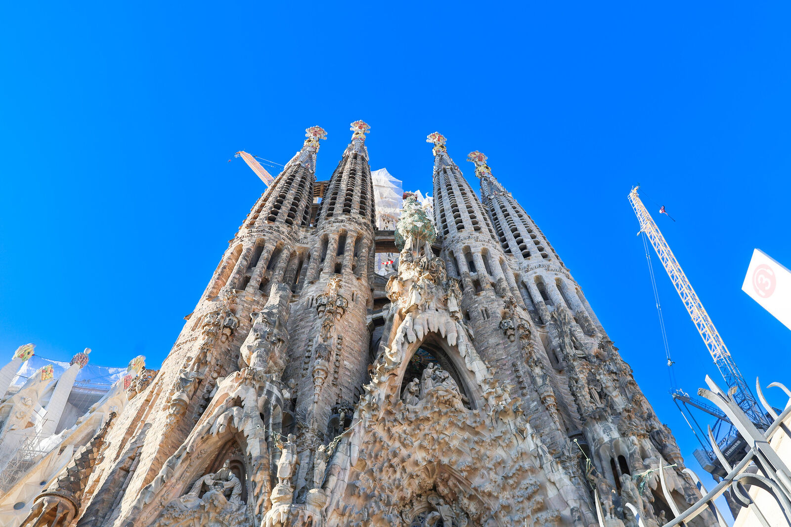 54953980583 c21e37cca7 k