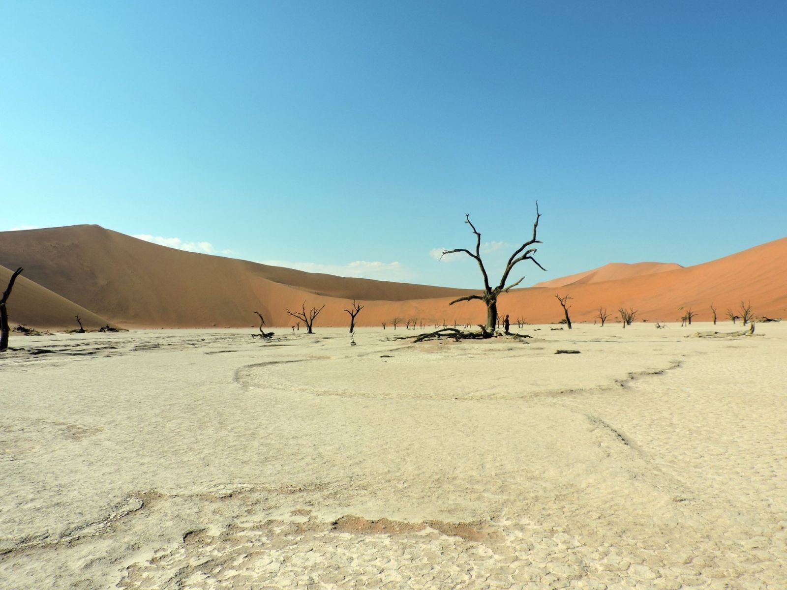 Dead Vlei Namibia