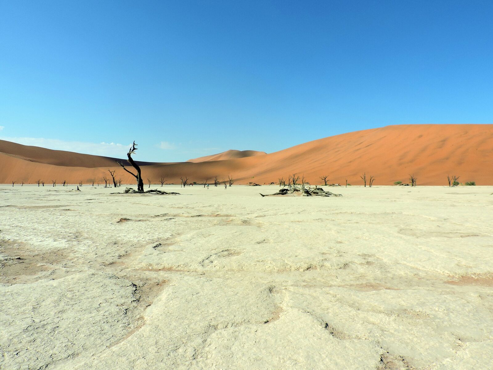 Namibia red dunes