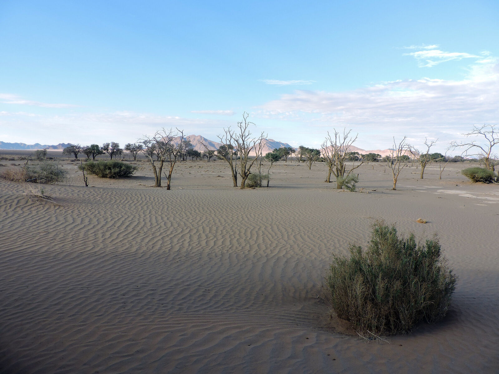 Namibia