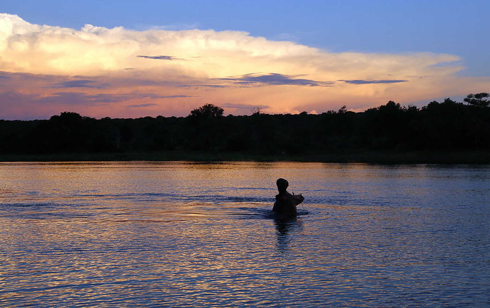 Zambia