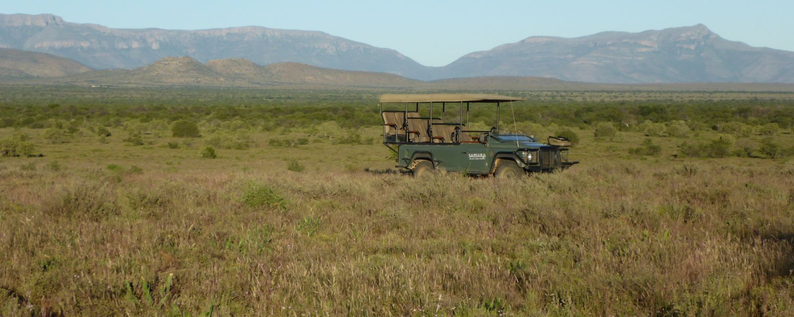 Tracking cheetahs as the sun goes down 1