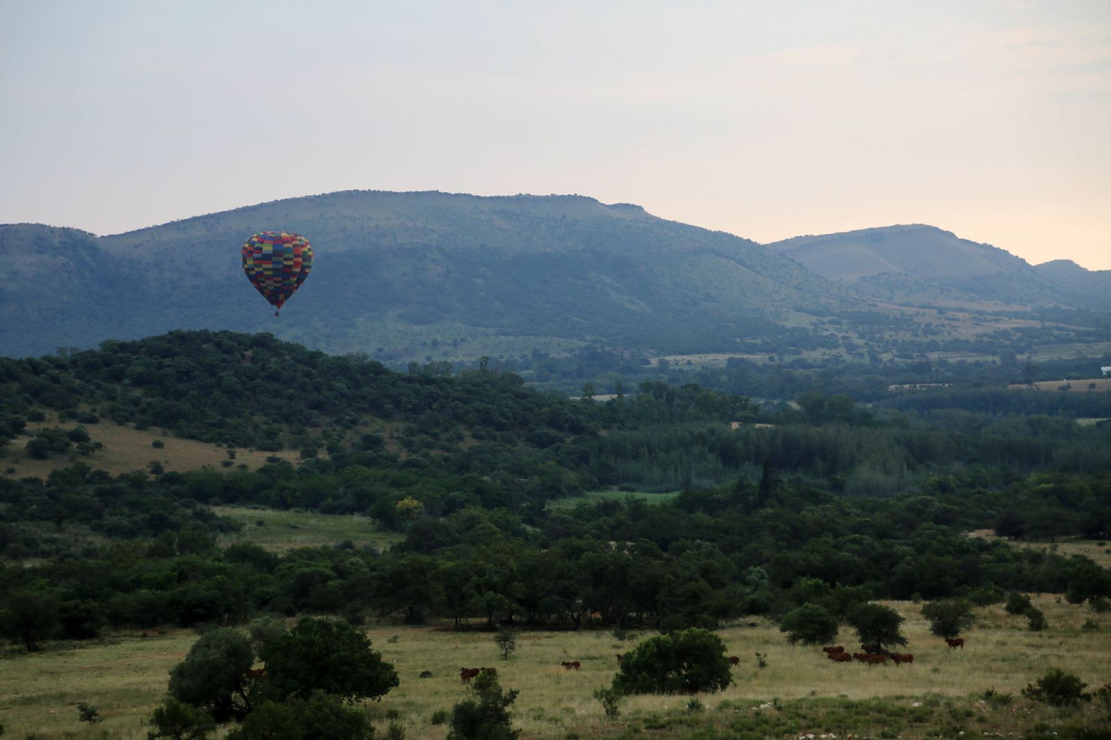 Balloon safari