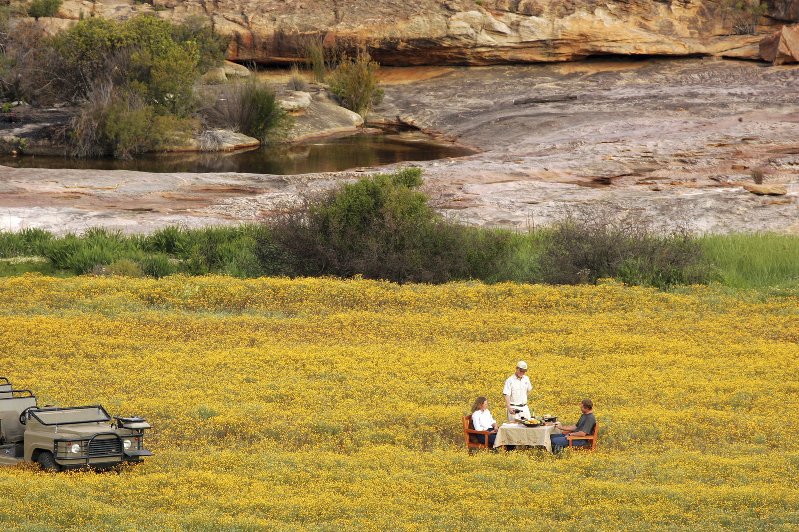 2 Bushmans Kloof Wilderness Reserve Wellness Retreat Bushmans Kloof Picnic Experience