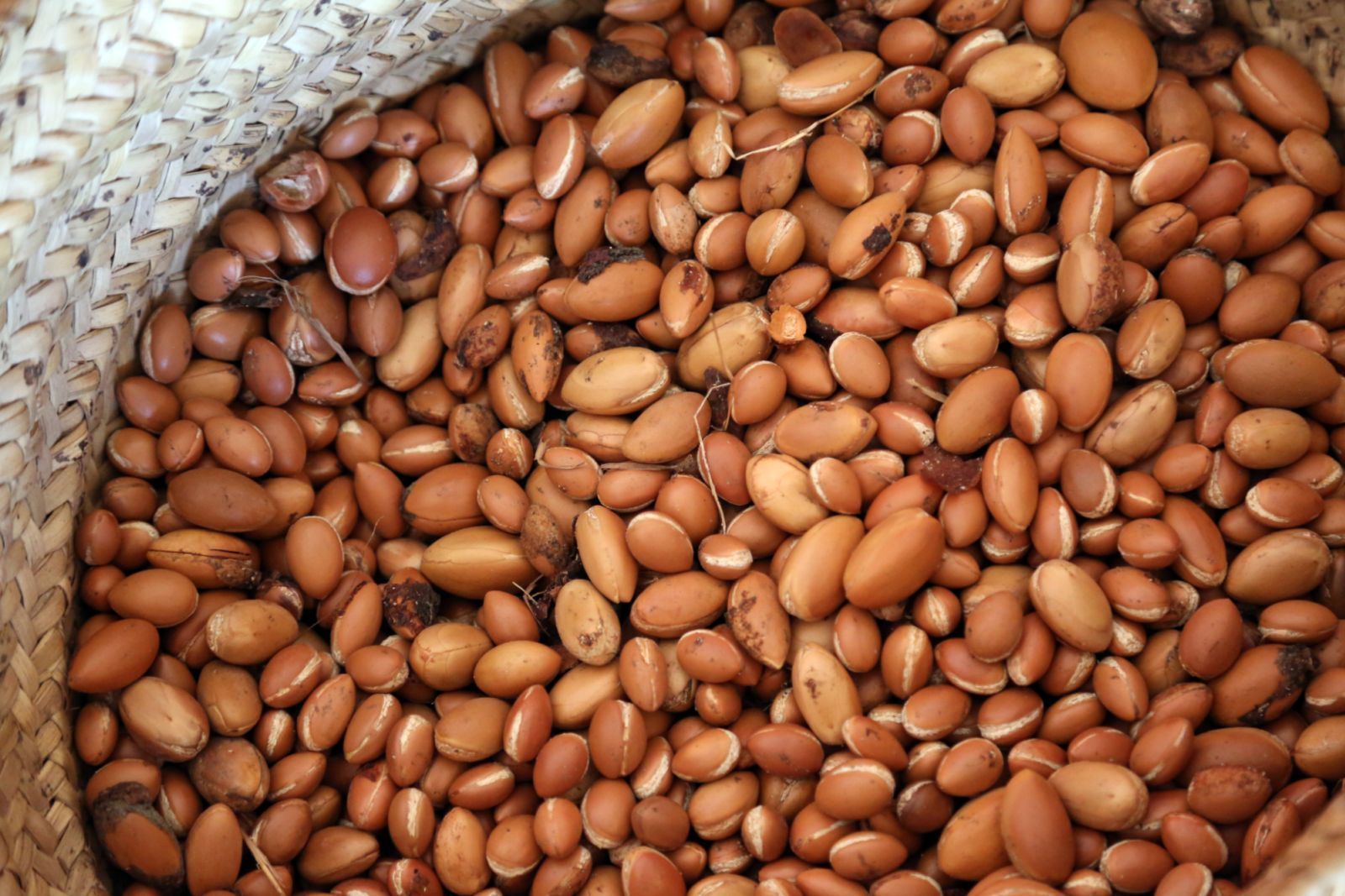 Beans