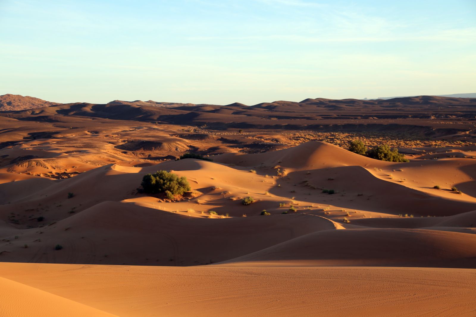 Desert 1
