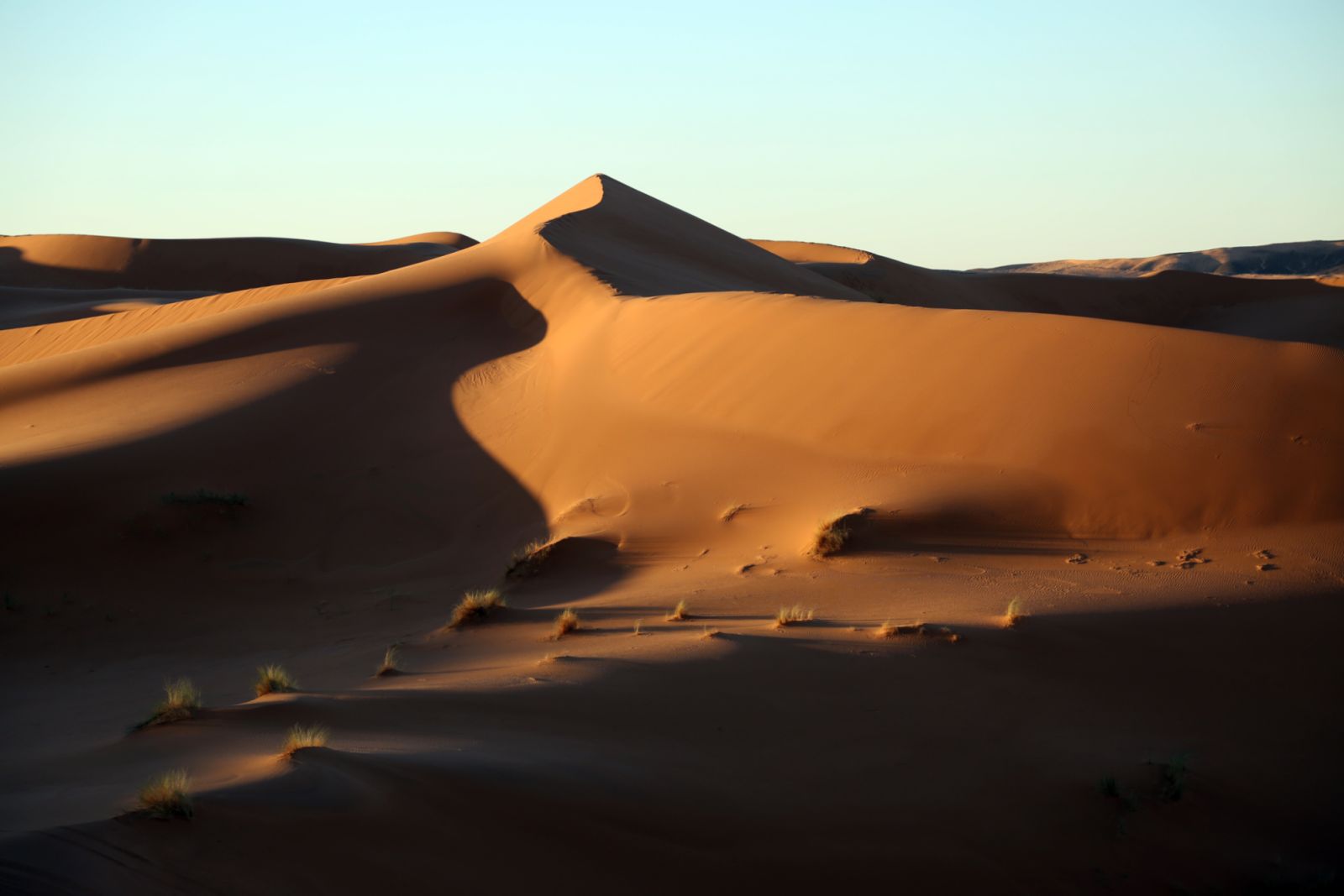 Desert