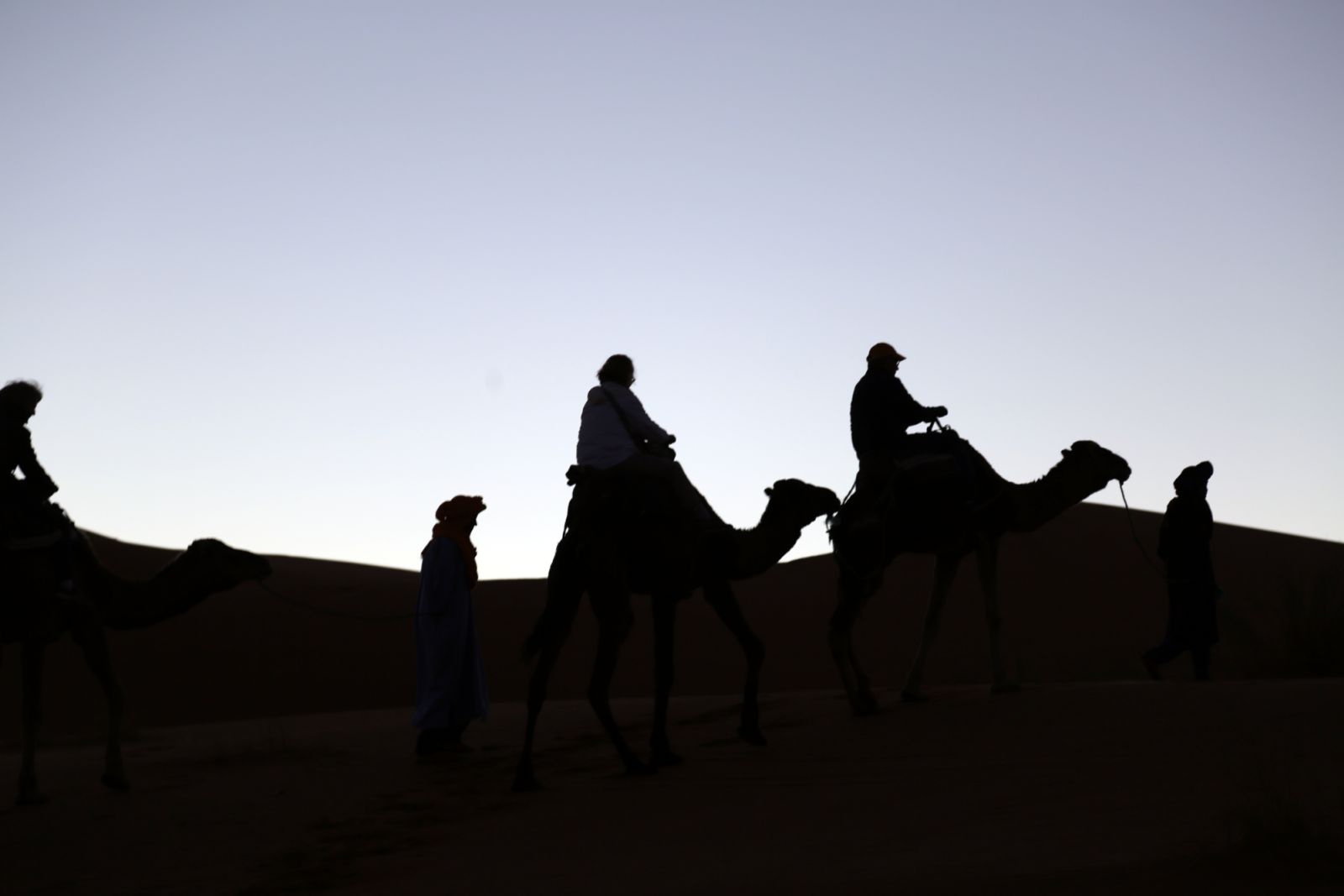 Camel Rides