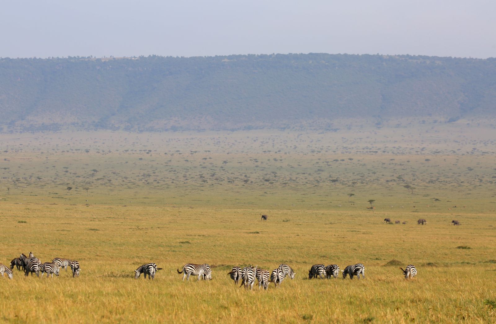 The vast Masai Mara landscape