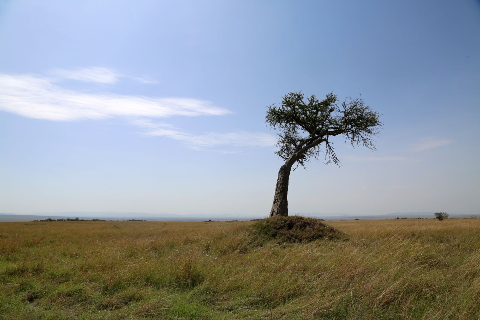 Kenya's great landscape