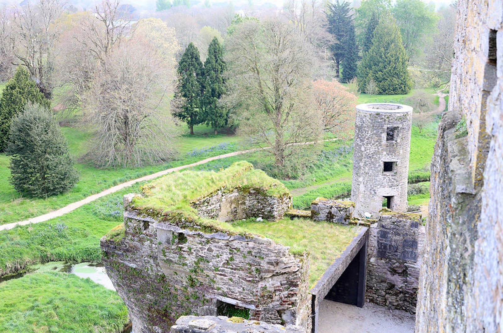 A view over the castle grounds