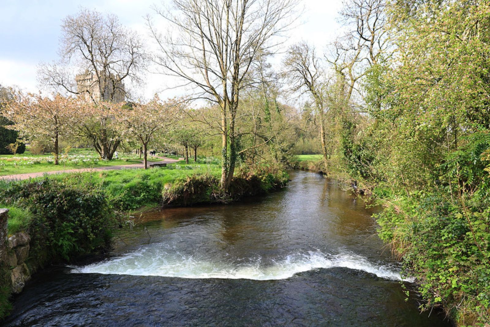 River Martin near Blarney castle