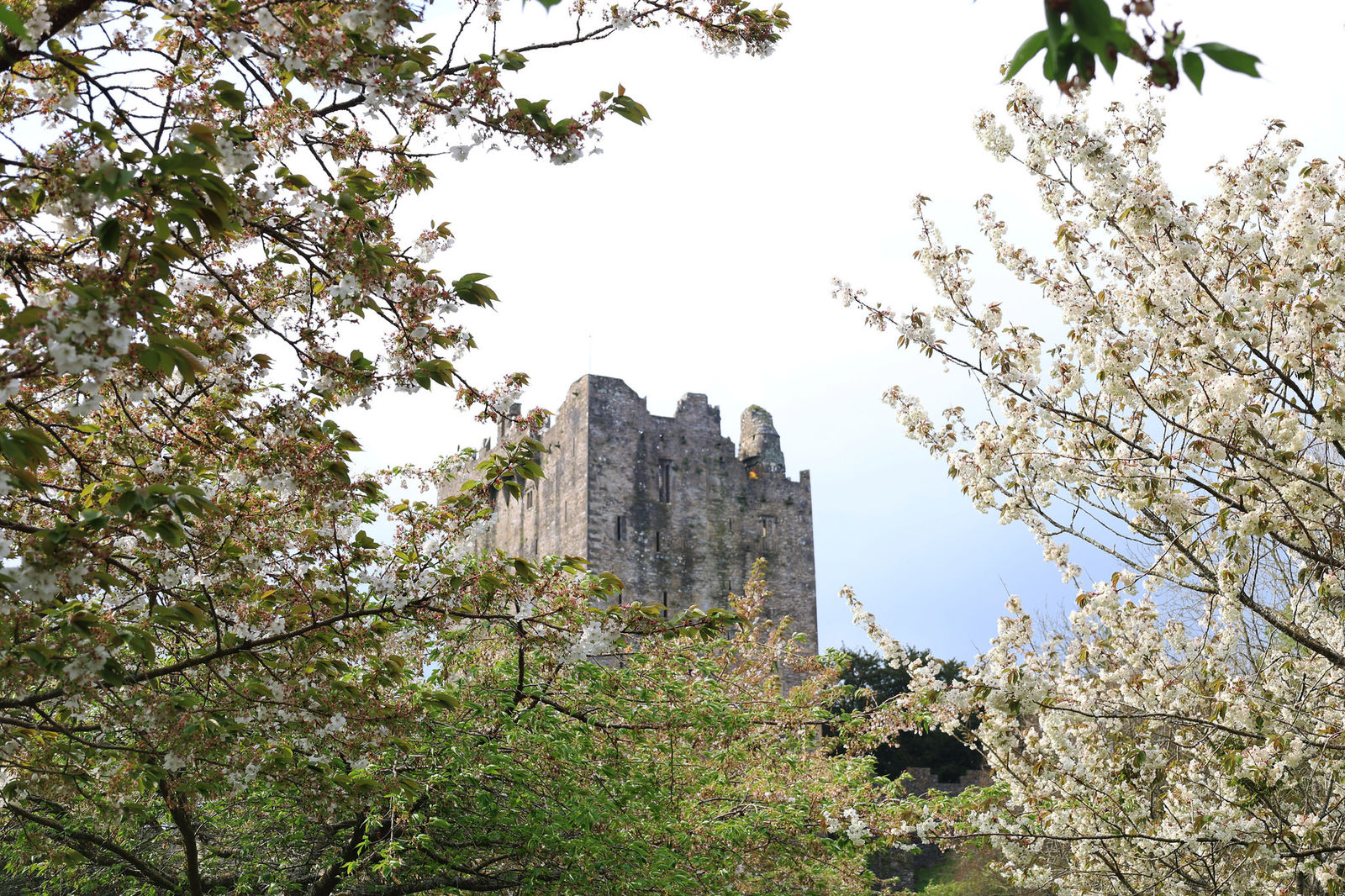 A glimpse of the castle